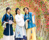 古装小姐姐花海,古韵风情尽收眼底